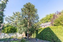 Garten Wohnen in Top-Lage von OB-Sterkrade: freistehendes Einfamilienhaus f�r h�chste Anspr�che