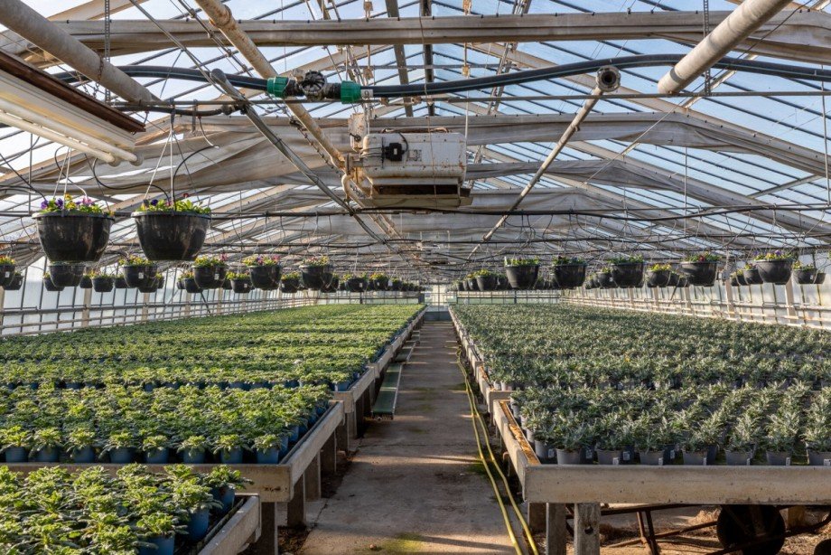 Gew�chshaus Innenansicht Landhaus Krefeld / H�ls