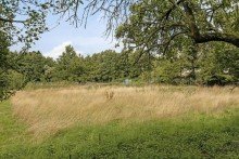 Garten Natur pur in Oberhausen: DHH mit gro�em Grundst�ck