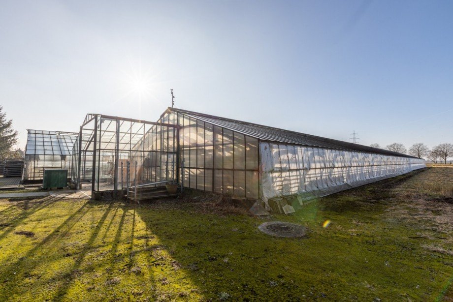 Gew�chshaus Au�enansicht Landhaus Krefeld / H�ls